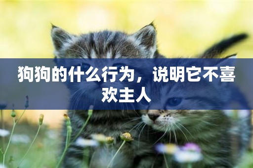 狗狗的什么行為，說明它不喜歡主人