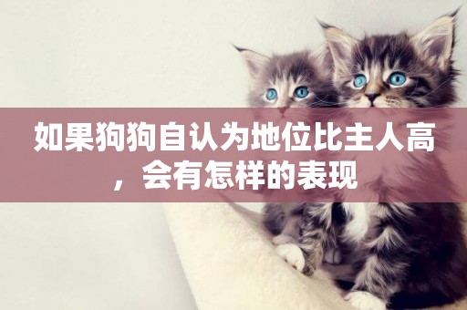 如果狗狗自認為地位比主人高，會有怎樣的表現