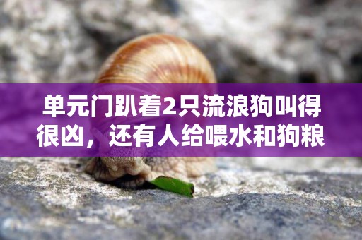 單元門趴著2只流浪狗叫得很兇，還有人給喂水和狗糧，現在不敢出