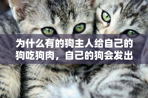 為什么有的狗主人給自己的狗吃狗肉，自己的狗會發出痛苦的聲音