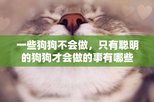 一些狗狗不會做，只有聰明的狗狗才會做的事有哪些