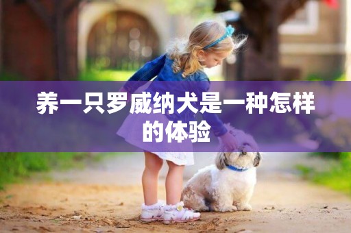 養一只羅威納犬是一種怎樣的體驗