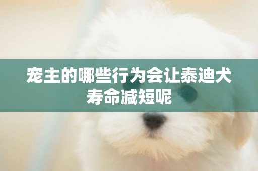 寵主的哪些行為會讓泰迪犬壽命減短呢
