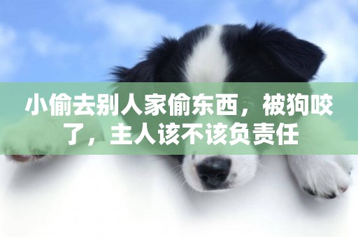 小偷去別人家偷東西，被狗咬了，主人該不該負責任