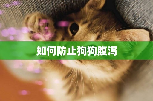 如何防止狗狗腹瀉