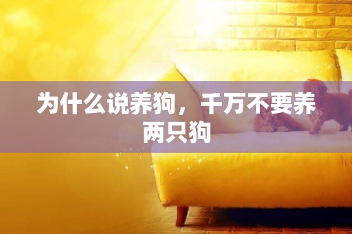 為什么說養狗，千萬不要養兩只狗