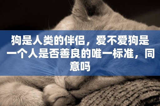 狗是人類的伴侶，愛不愛狗是一個人是否善良的唯一標準，同意嗎