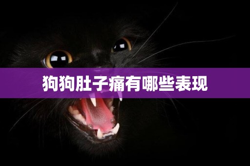 狗狗肚子痛有哪些表現