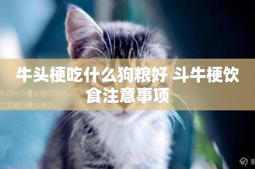 牛頭梗吃什么狗糧好 斗牛梗飲食注意事項