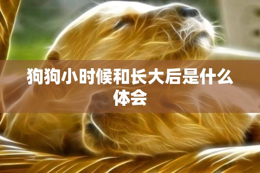 狗狗小時候和長大后是什么體會