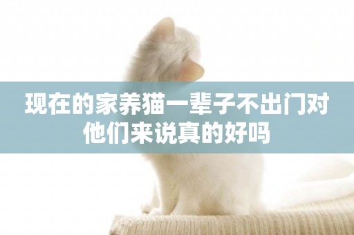 現在的家養貓一輩子不出門對他們來說真的好嗎