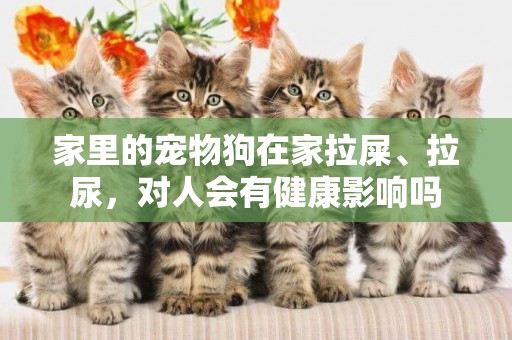 家里的寵物狗在家拉屎、拉尿，對人會有健康影響嗎