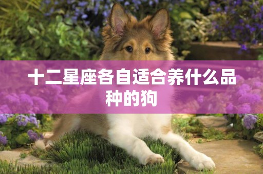 十二星座各自適合養什么品種的狗