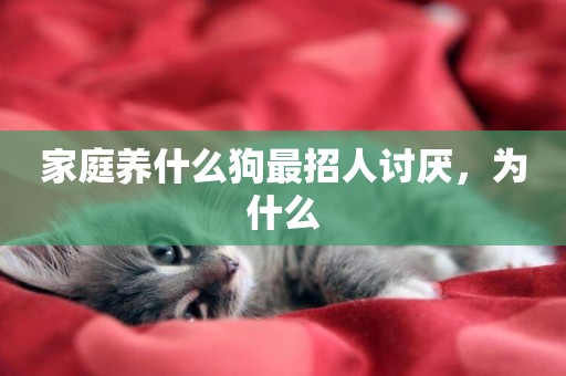 家庭養什么狗最招人討厭，為什么