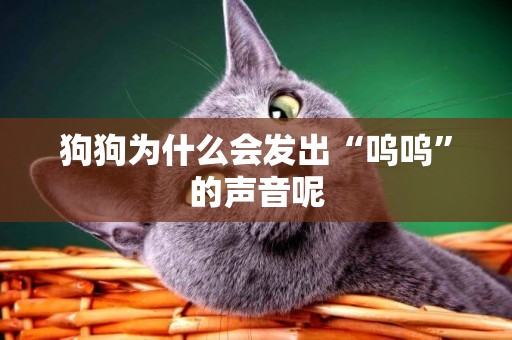 狗狗為什么會發出“嗚嗚”的聲音呢
