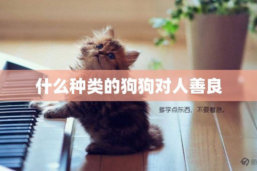 什么種類的狗狗對人善良