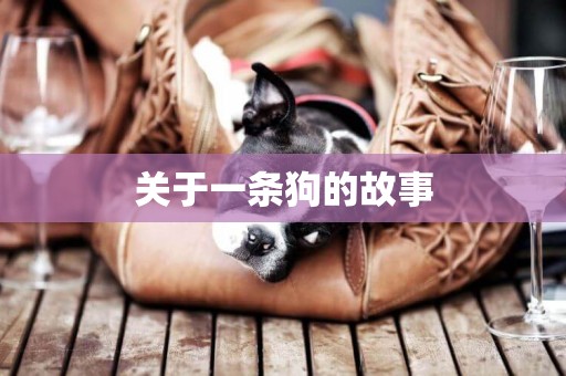 關于一條狗的故事