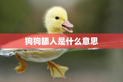 狗狗舔人是什么意思