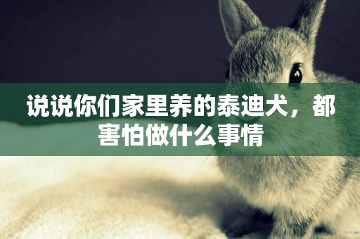 說說你們家里養的泰迪犬，都害怕做什么事情