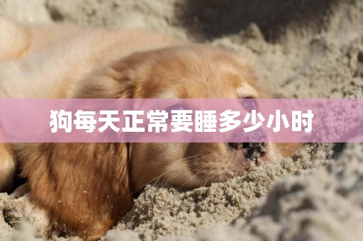 狗每天正常要睡多少小時