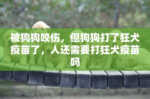 被狗狗咬傷，但狗狗打了狂犬疫苗了，人還需要打狂犬疫苗嗎