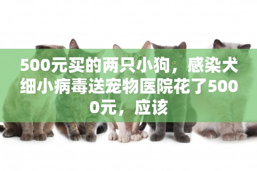 500元買的兩只小狗，感染犬細小病毒送寵物醫院花了5000元，應該