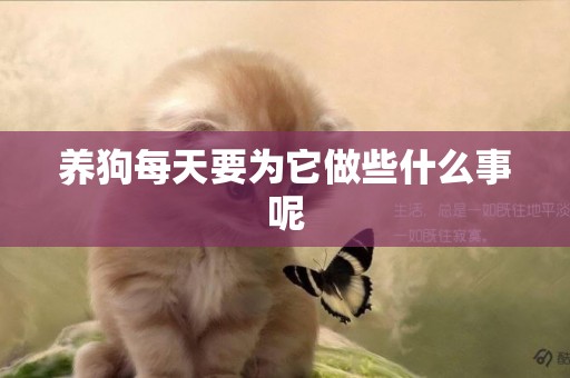 養狗每天要為它做些什么事呢