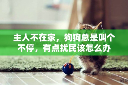 主人不在家，狗狗總是叫個不停，有點擾民該怎么辦