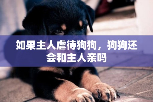 如果主人虐待狗狗，狗狗還會和主人親嗎