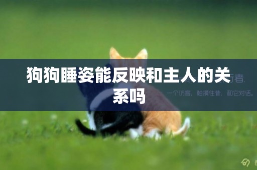 狗狗睡姿能反映和主人的關系嗎