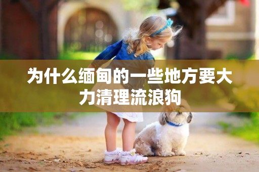 為什么緬甸的一些地方要大力清理流浪狗