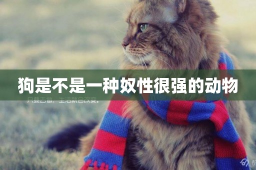 狗是不是一種奴性很強的動物