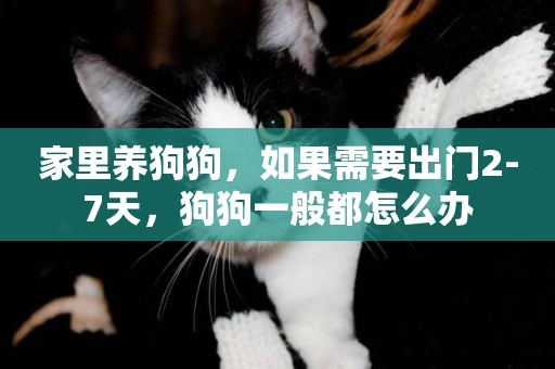 家里養狗狗，如果需要出門2-7天，狗狗一般都怎么辦
