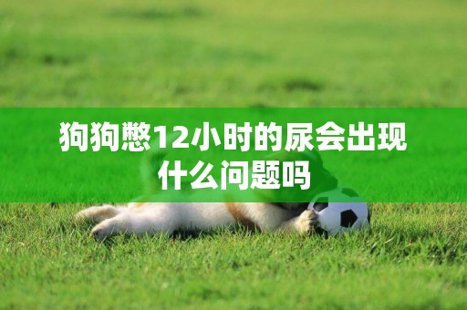 狗狗憋12小時的尿會出現什么問題嗎