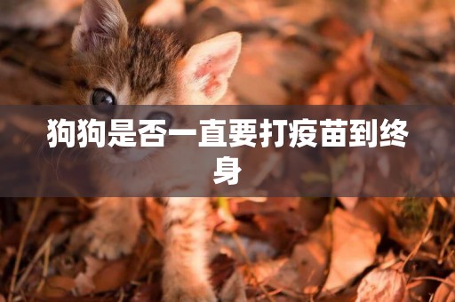 狗狗是否一直要打疫苗到終身