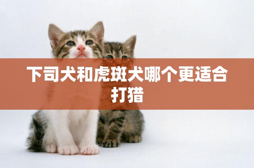 下司犬和虎斑犬哪個更適合打獵