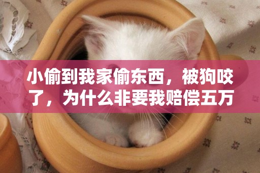 小偷到我家偷東西，被狗咬了，為什么非要我賠償五萬