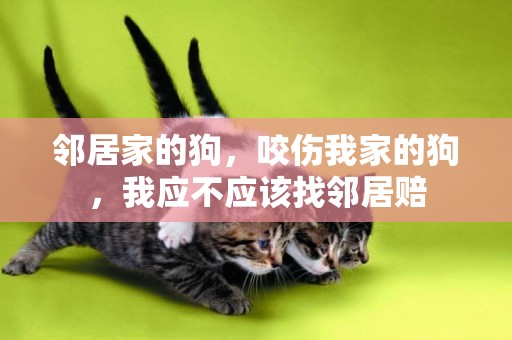 鄰居家的狗，咬傷我家的狗，我應不應該找鄰居賠