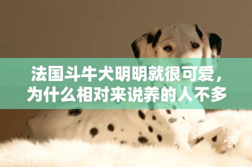 法國斗牛犬明明就很可愛，為什么相對來說養的人不多
