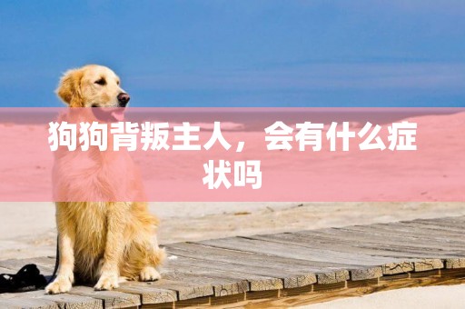 狗狗背叛主人，會有什么癥狀嗎