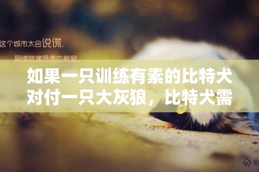 如果一只訓練有素的比特犬對付一只大灰狼，比特犬需要多久可以搞