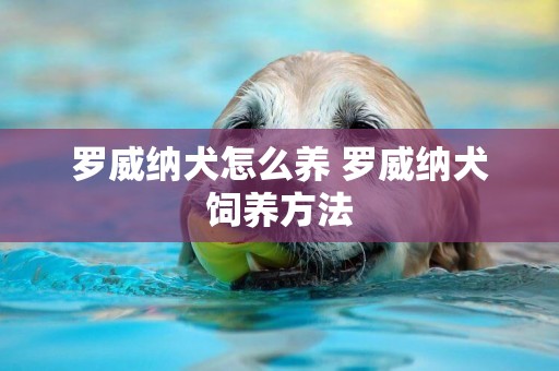 羅威納犬怎么養 羅威納犬飼養方法