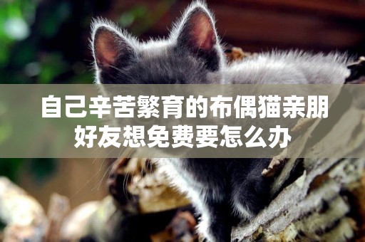 自己辛苦繁育的布偶貓親朋好友想免費要怎么辦