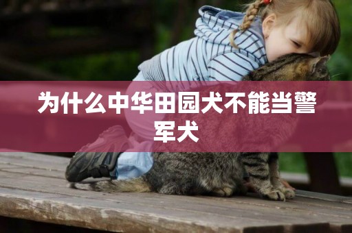 為什么中華田園犬不能當警軍犬
