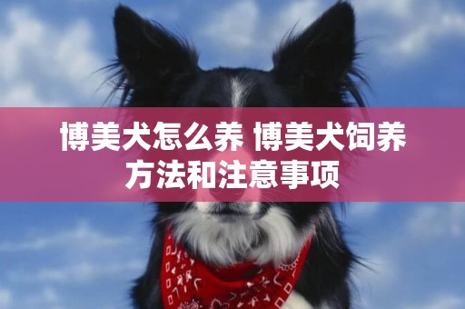 博美犬怎么養 博美犬飼養方法和注意事項