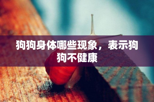 狗狗身體哪些現象，表示狗狗不健康