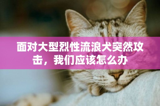 面對大型烈性流浪犬突然攻擊，我們應該怎么辦
