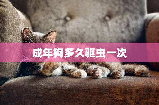 成年狗多久驅蟲一次