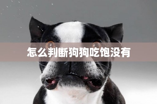 怎么判斷狗狗吃飽沒有