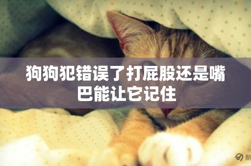 狗狗犯錯誤了打屁股還是嘴巴能讓它記住